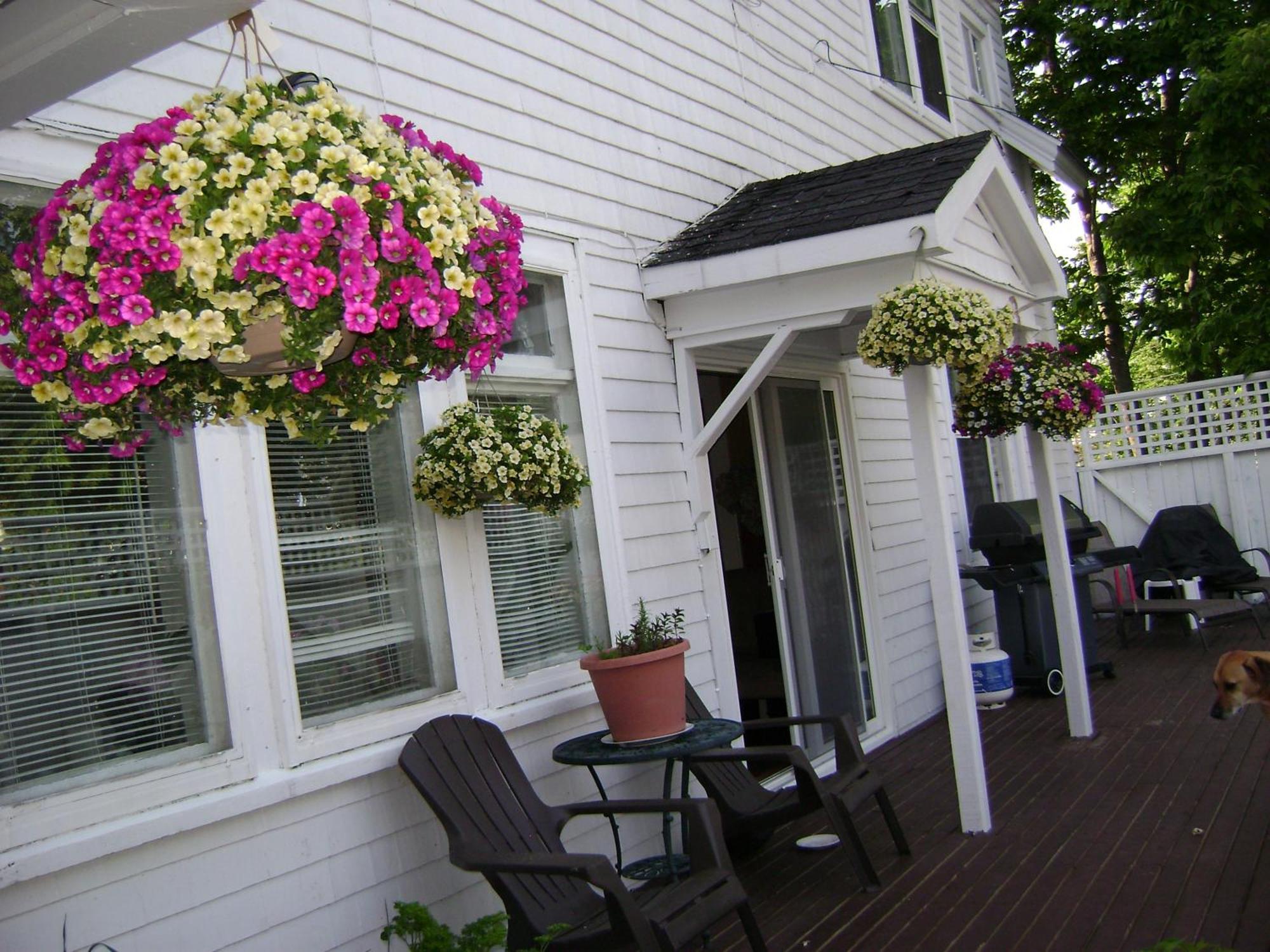 Lakelawn B&B And Motel Yarmouth Esterno foto